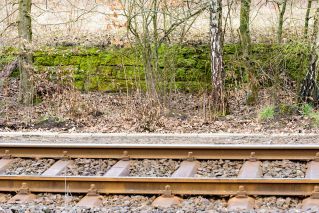 Auf dem Bild ist ein Schienenabschnitt des Bahnhof Gräfendorf zu sehen.