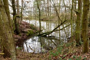 Auf dem Bild ist eine mit Regenwasser gefüllte Baugrube zu sehen.